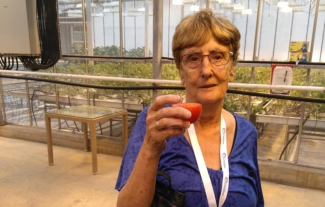 A woman holding up a glass in toast and looking at the camera