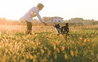 A woman in a field, playing with her dog